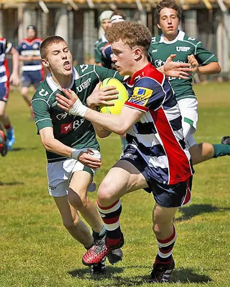 Rugby Festival