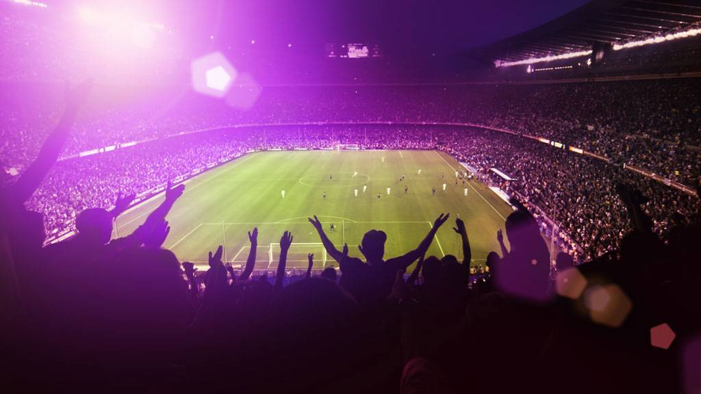 Crowd at Stadium